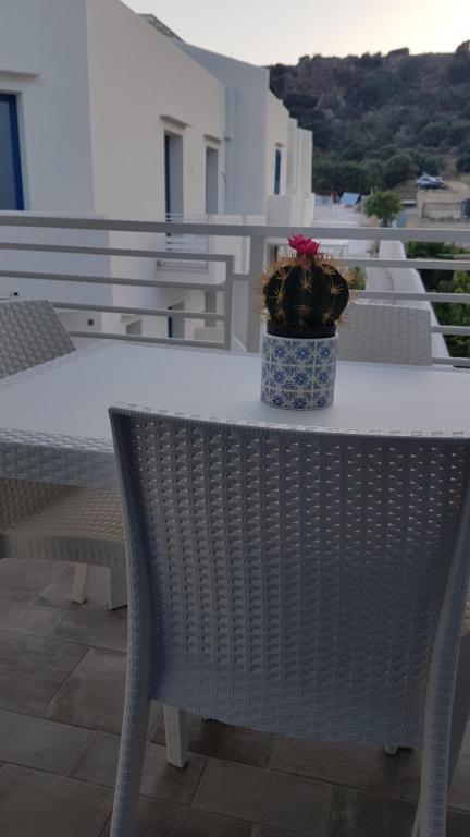 Aquamarine Apartment Nel Cuore Di San Vito room 1